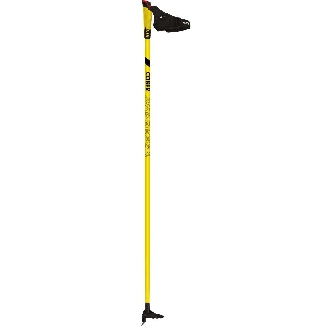 Wholesale Cross Country Ski Poles Supplier in Japan